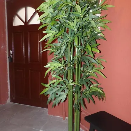 Le Cosy - Wifi - - Evasionpamiers *