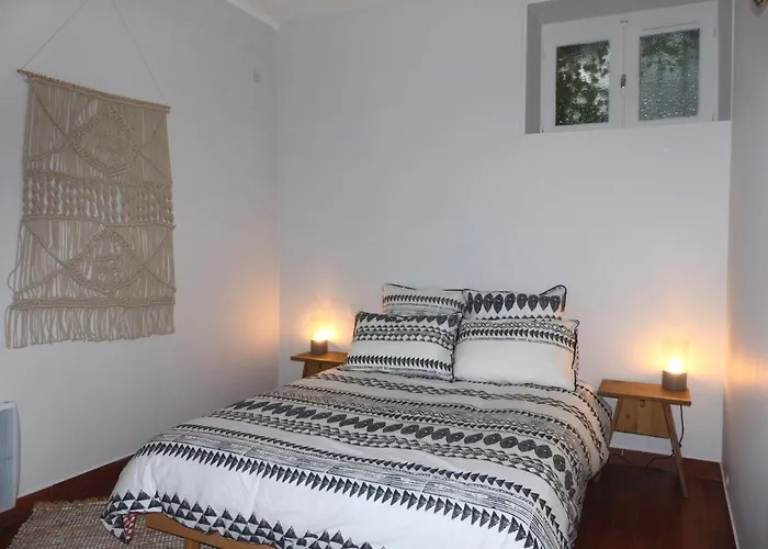 Le Cosy - Wifi - - Evasionpamiers Appartement *