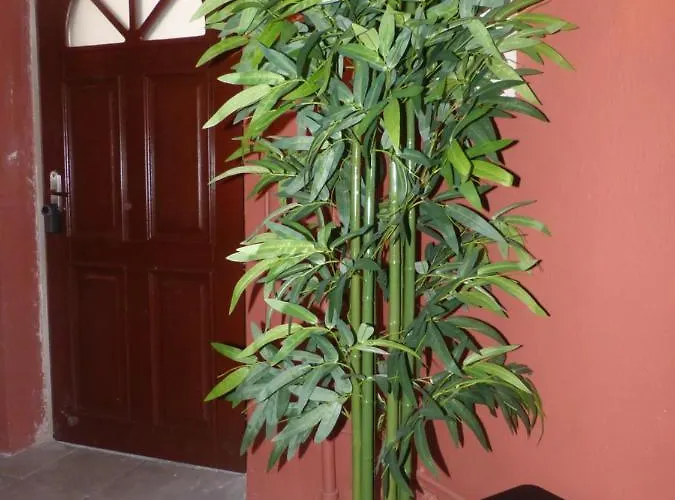 Le Cosy - Wifi - - Evasionpamiers *